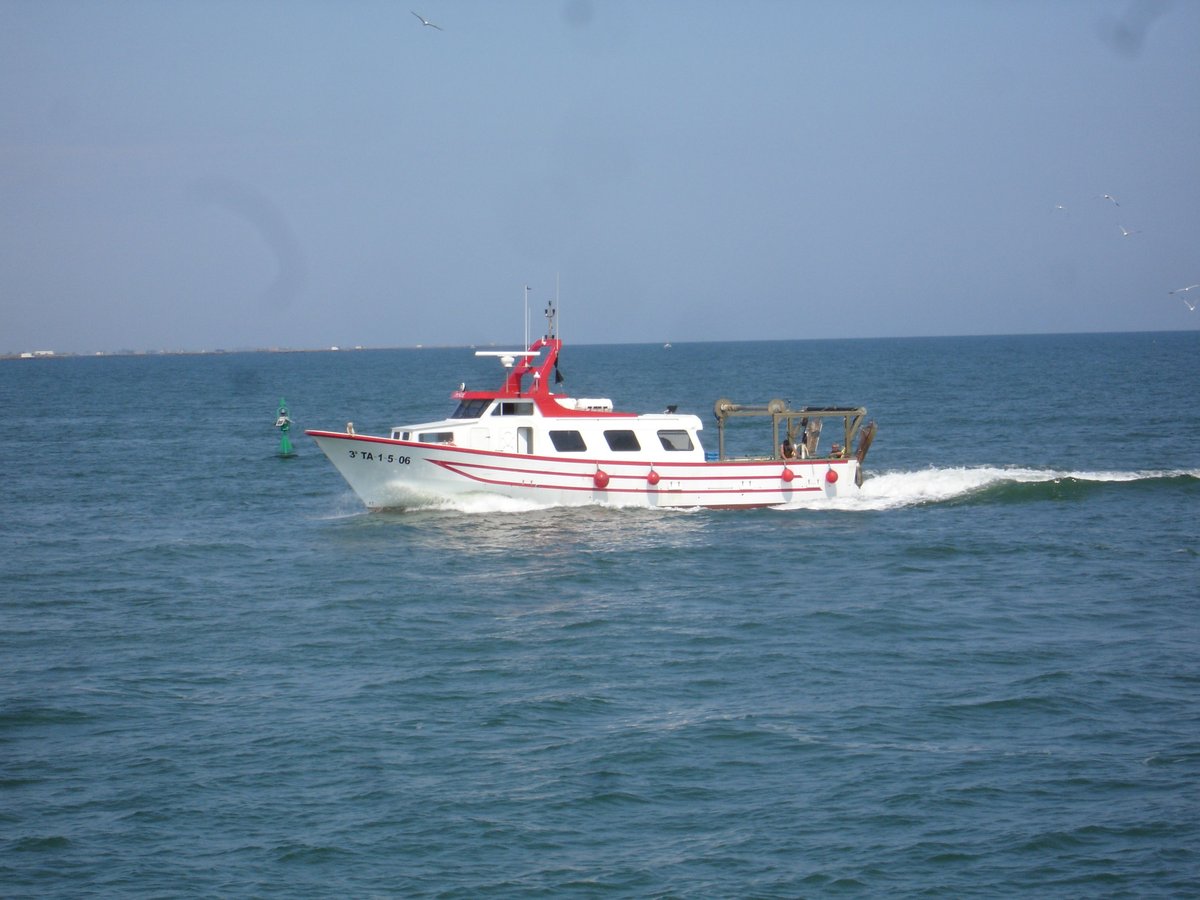 Imagen de Capitol 9 - 2007